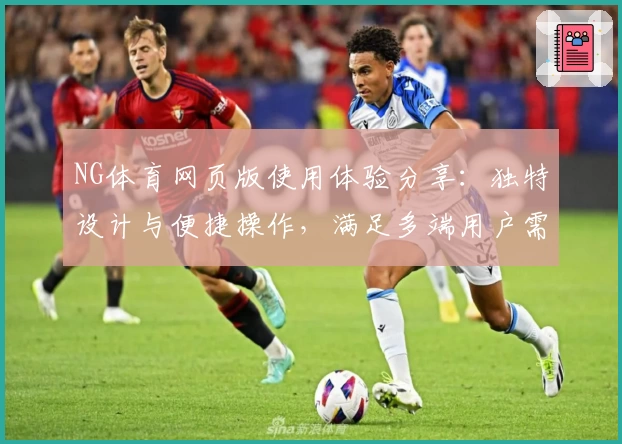NG体育网页版使用体验分享：独特设计与便捷操作，满足多端用户需求
