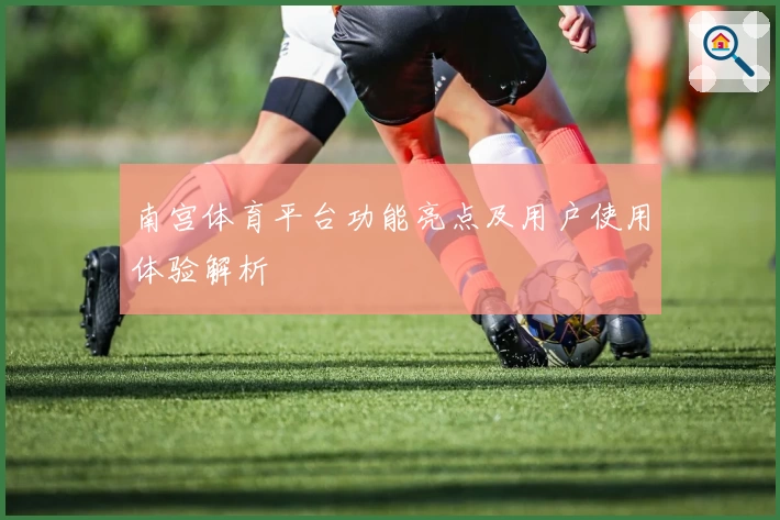 南宫体育平台功能亮点及用户使用体验解析