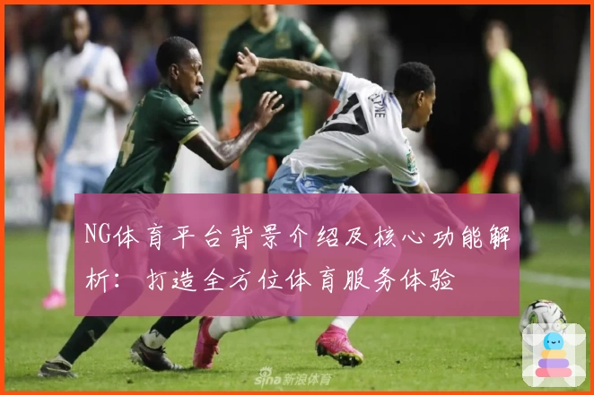 NG体育平台背景介绍及核心功能解析：打造全方位体育服务体验
